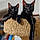 Ozzy And Izzy