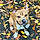 Bruno