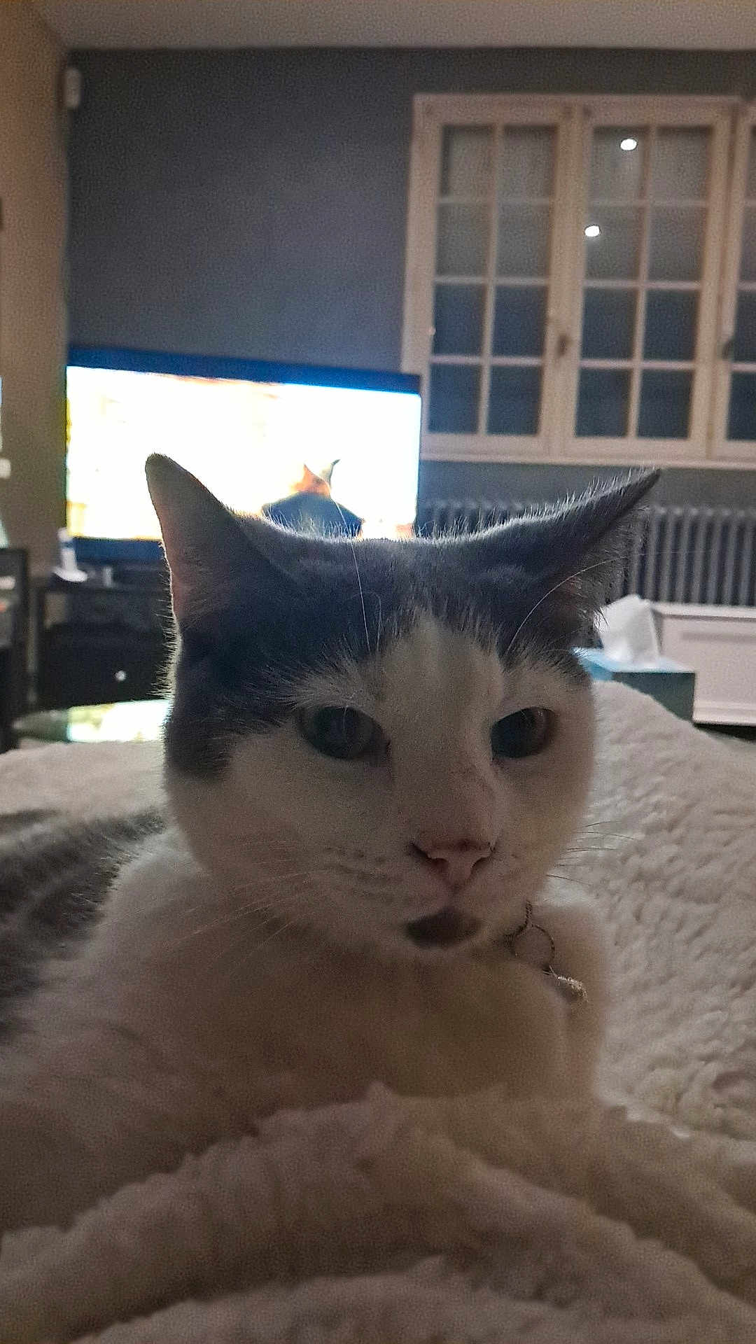 Olaf