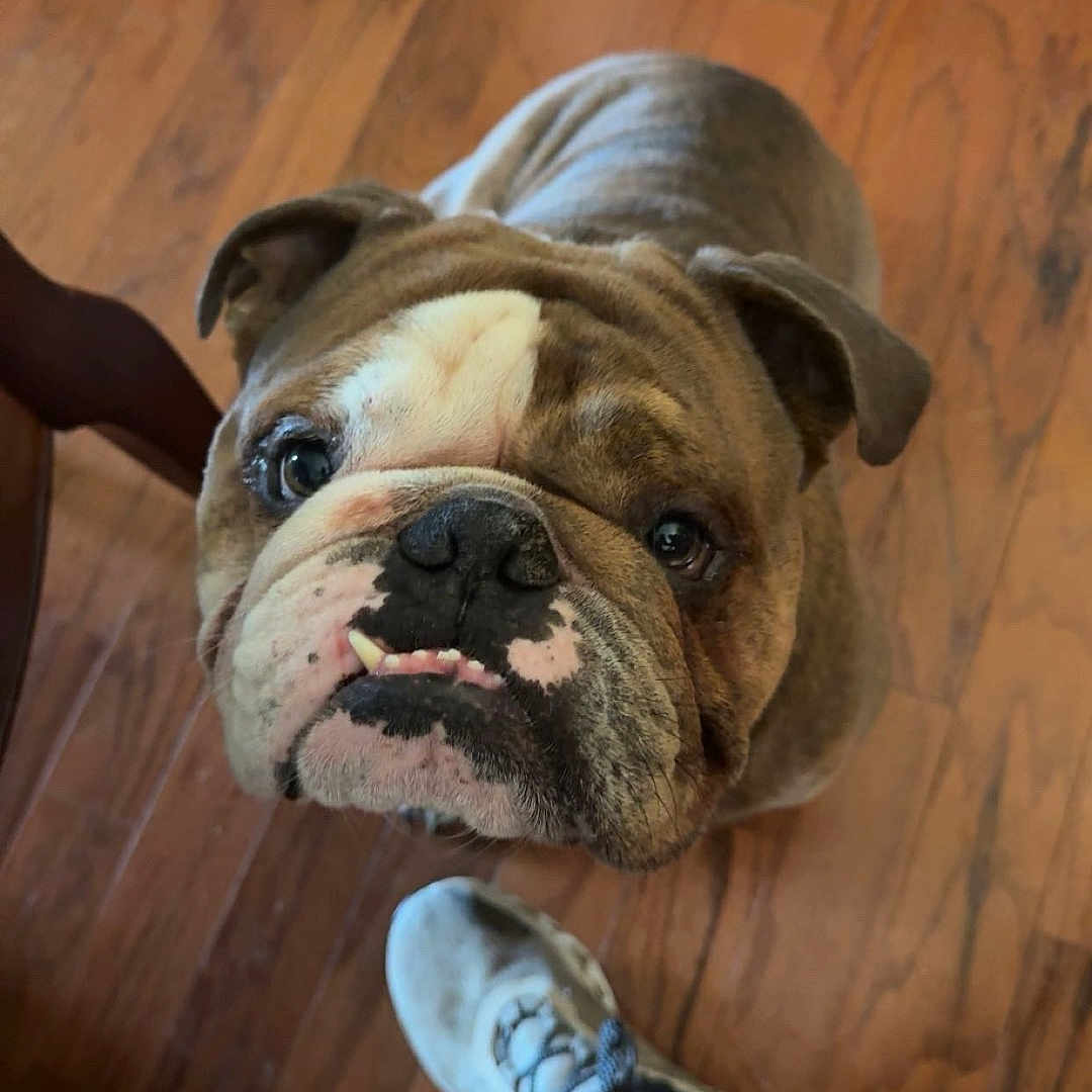 Buster