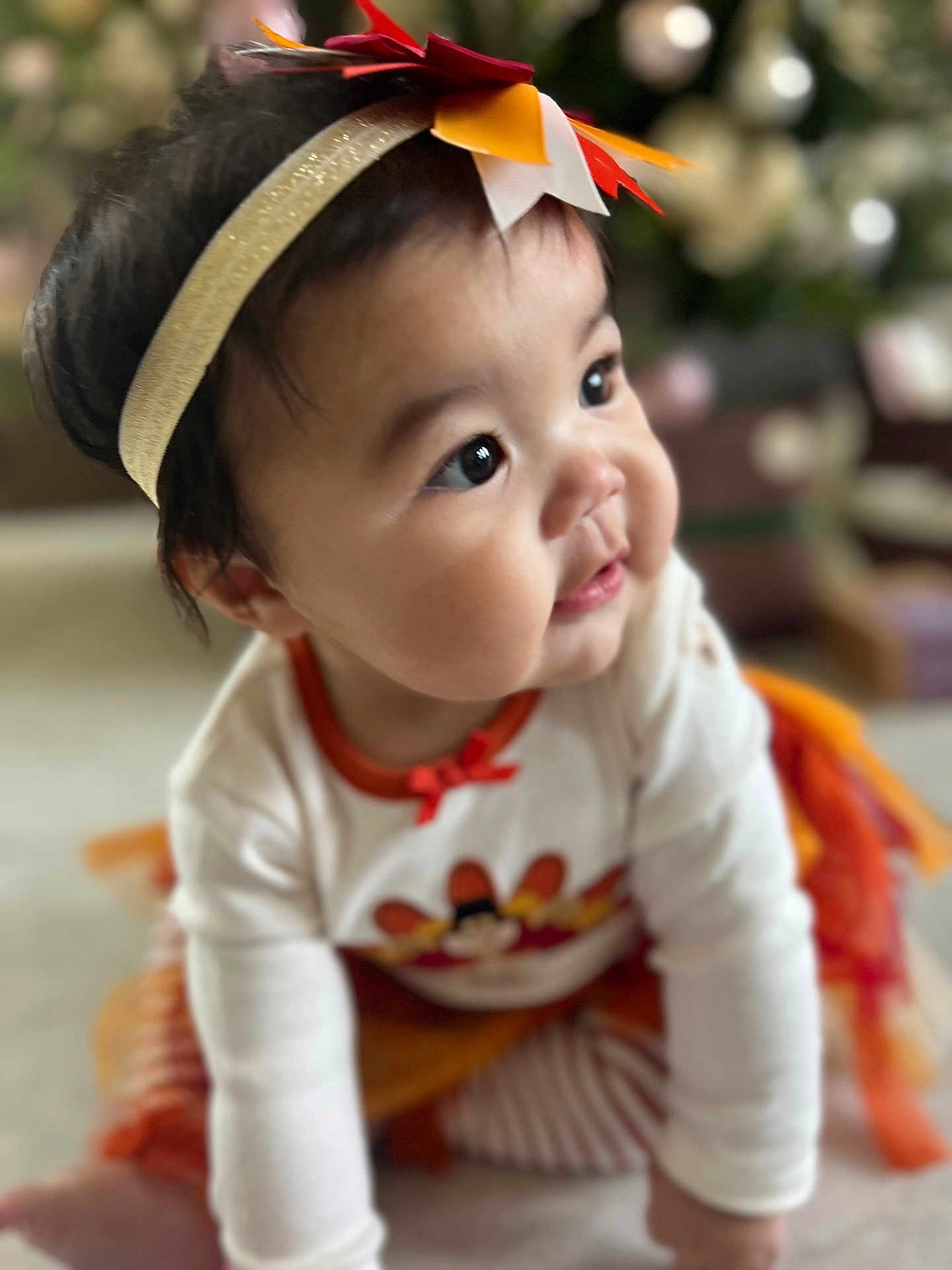 Isabella Rose is registered to the contest to win money with this photo: baby, child, crawling, headband, autumn, colorful, clothing, cute, indoor, face, cheeks, eyes, festive, soft_focus, toddler, person, playful, warm_colors, orange, white
