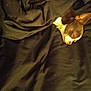 dog, sleeping, blanket, bed, cozy, resting, pet, fur, ears, peaceful, indoor, dark, snuggled, canine, head, comfort, quiet, relaxation, animal, nap