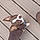 Buddy