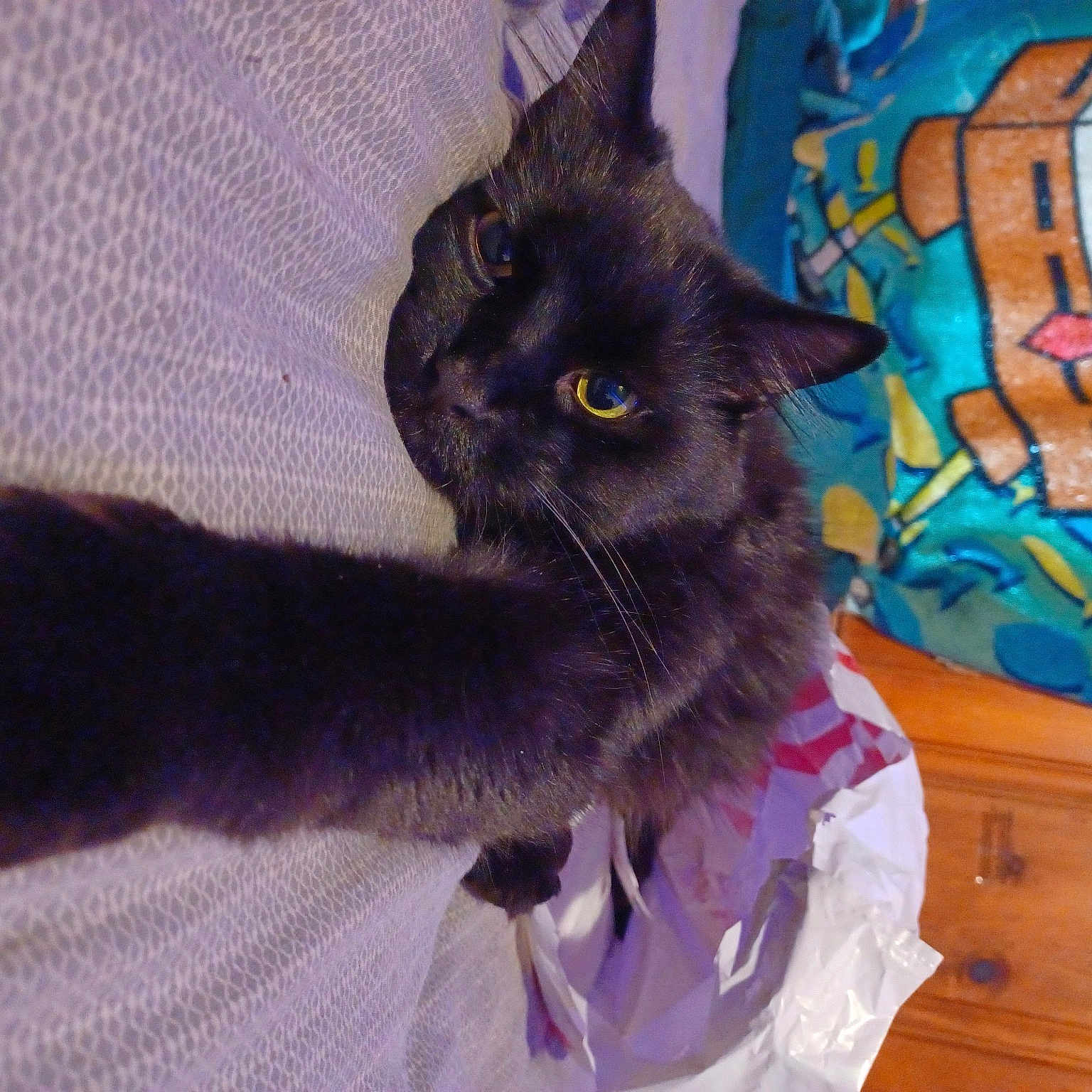 Soot