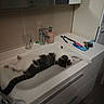 cat, sink, bathroom, toothbrush, toothpaste, keys, glass, soap_dispenser, tile_wall, cabinet, domestic, pet, relaxed, stretching, white, brown, striped, floor, countertop, household
