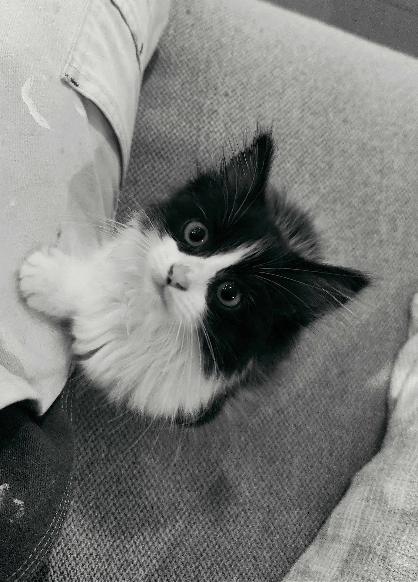 Fidjy
