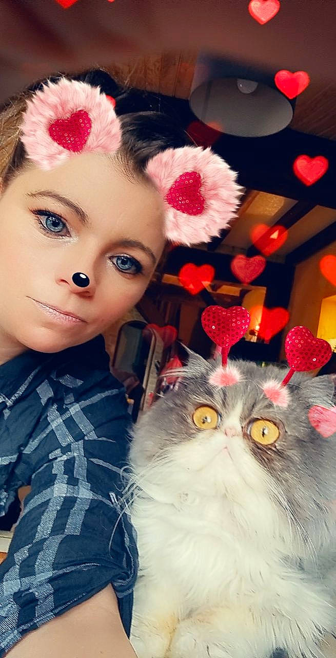 Marley a rejoint le concours — aidez-le/la à gagner de superbes lots ! carnivore, cat, doll, eye, eyelash, facial_expression, fawn, felidae, happy, head, iris, lip, lipstick, mammal, organ, petal, small_to_medium_sized_cats, textile, toy, whiskers