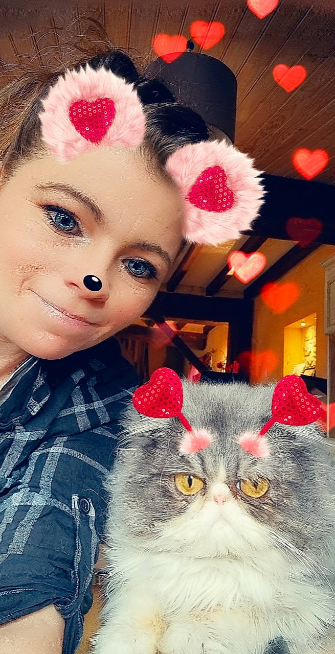 Marley a rejoint le concours — aidez-le/la à gagner de superbes lots ! carnivore, cat, eye, eyelash, facial_expression, felidae, fur, happy, iris, lip, lipstick, mammal, nose, organ, red, small_to_medium_sized_cats, textile, toy, whiskers, white