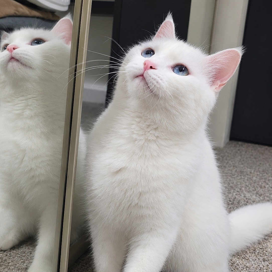 Casper