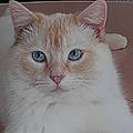 Estelle L.