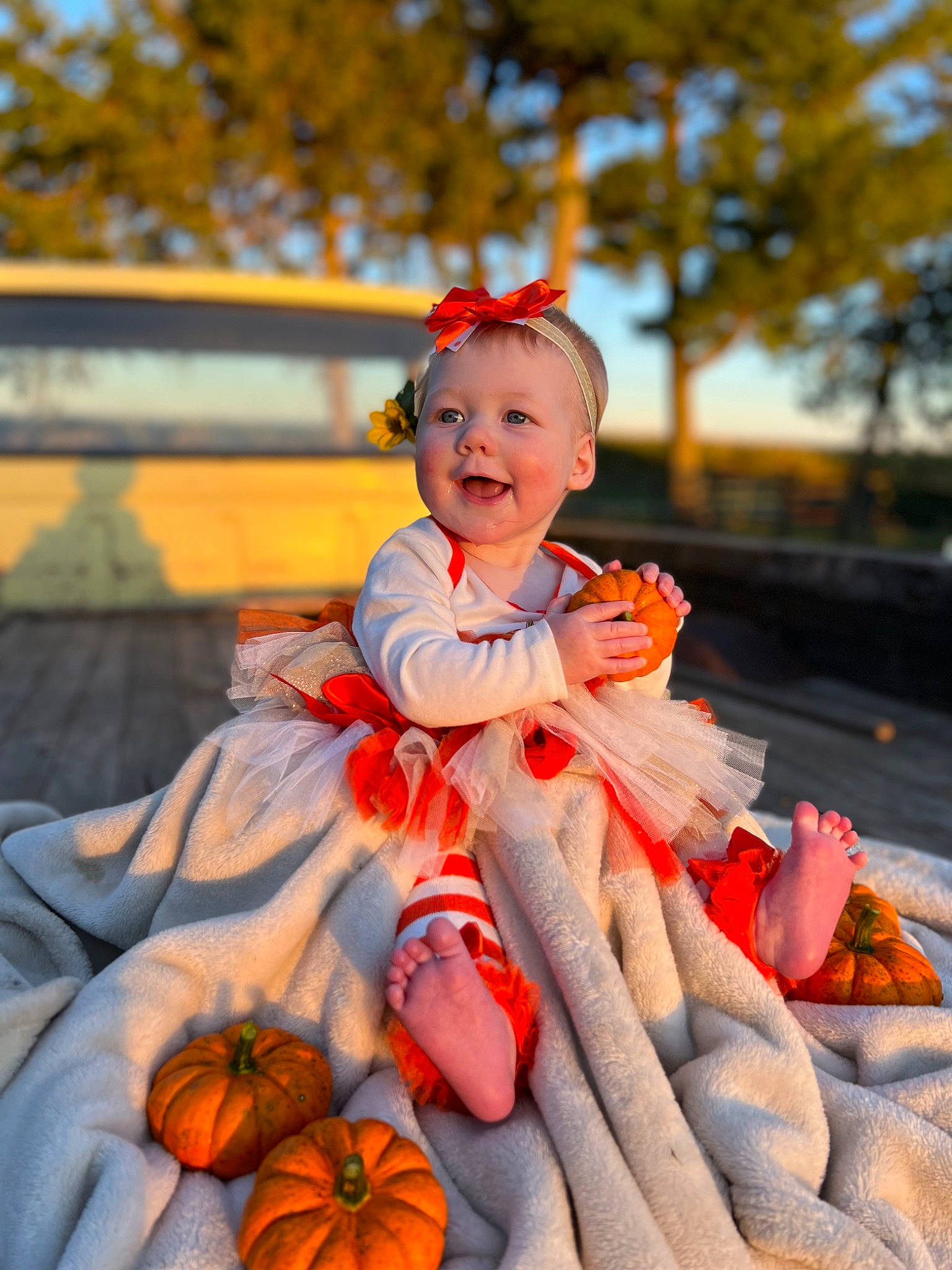 Maggie joined the competition — help win amazing prizes! calabaza, cucurbita, dress, face, fruit, gourd, happy, hat, leaf, orange, people, person, plant, pumpkin, smile, squash, toddler, tree, vegetable, winter_squash