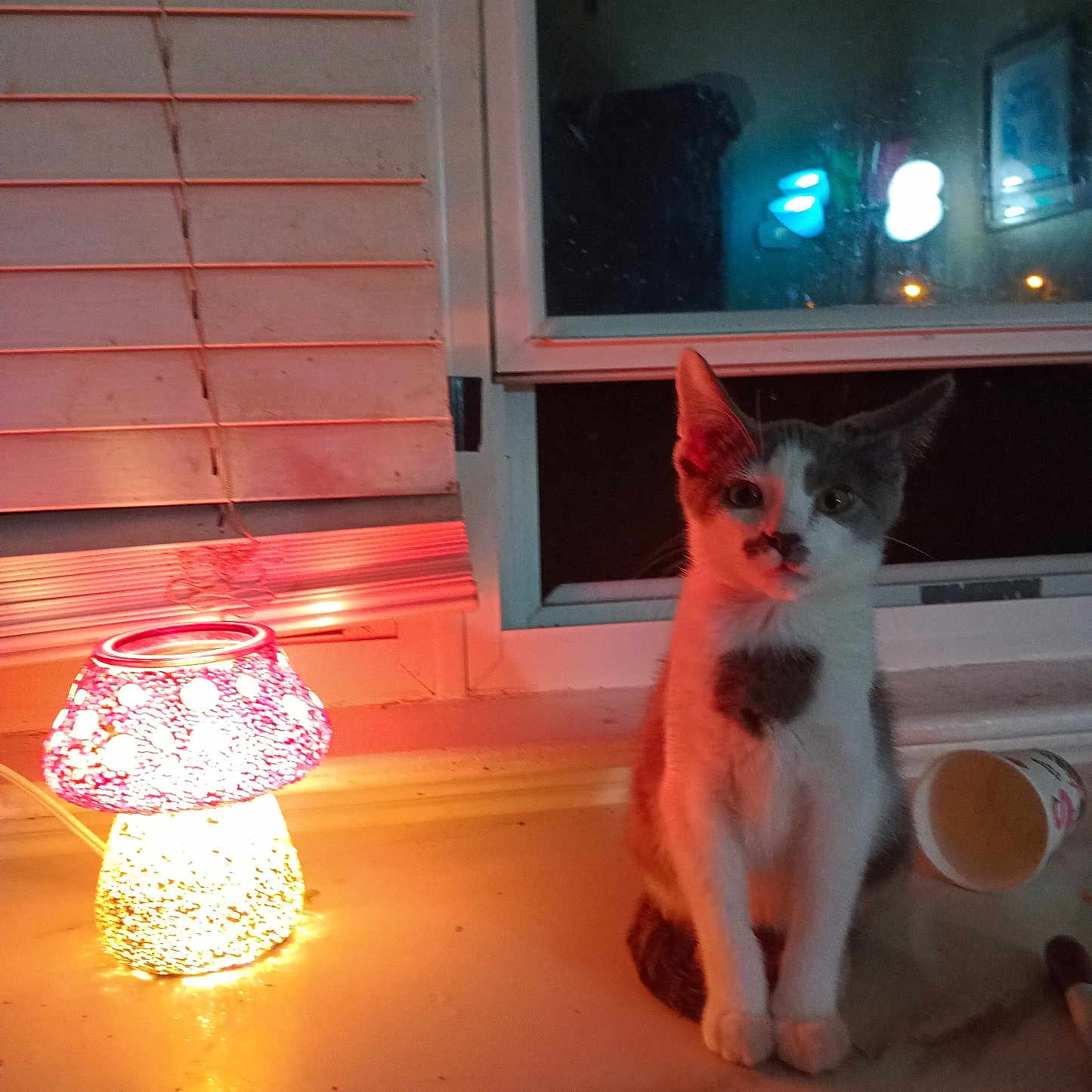 Lily