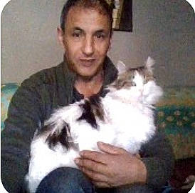 Gismo participe au concours pour gagner de l'argent avec cette photo : canidae, carnivore, cat, companion_dog, dog_breed, ear, felidae