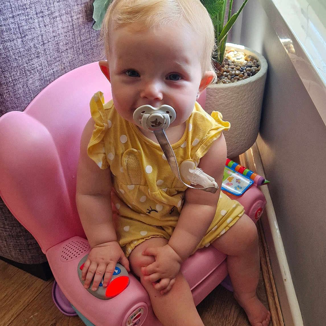 Scarlet is registered to the contest to win money with this photo: baby, blond_hair, child, curious, cute, face, home, indoor, infant, pacifier, pink_chair, plant, polka_dot, sitting, small_foot, small_hand, toy, window, wood_floor, yellow_clothing
