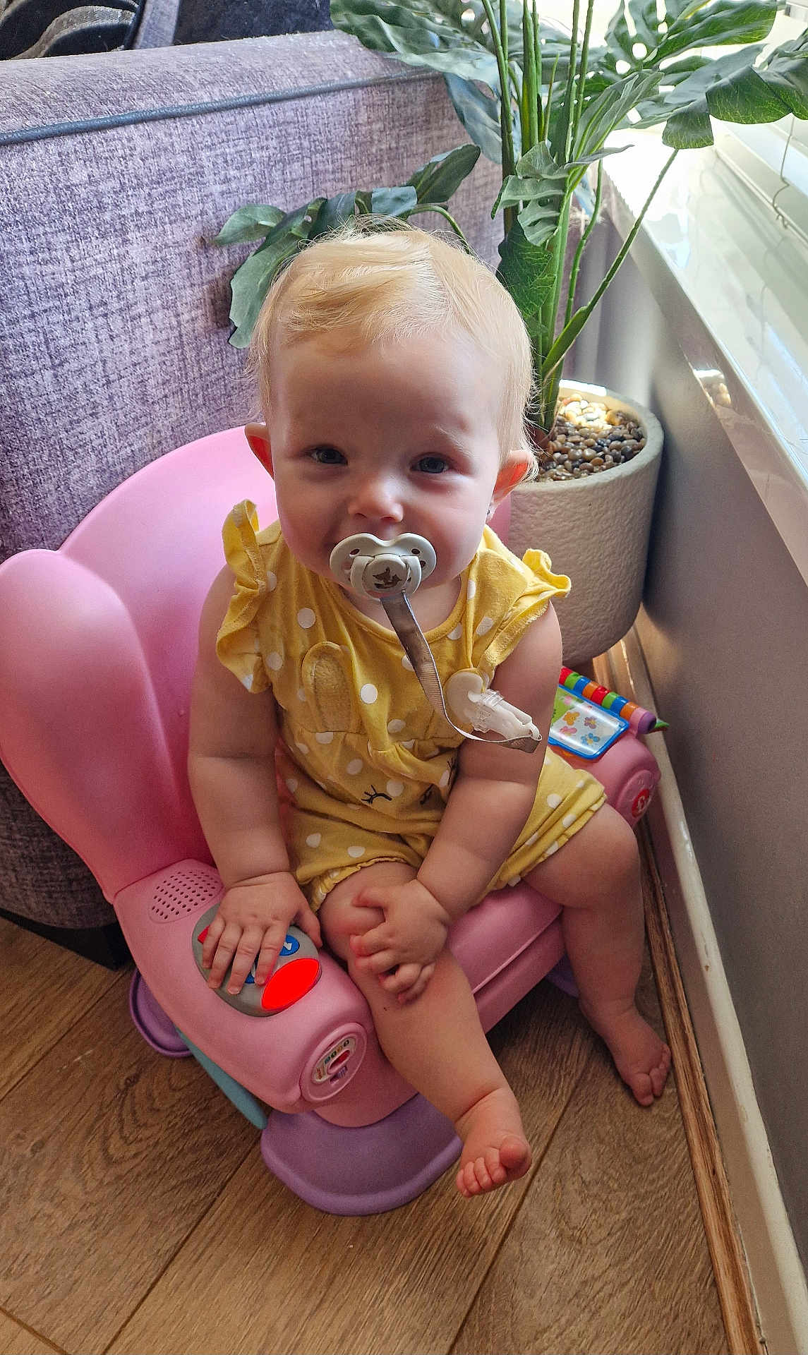 Scarlet is registered to the contest to win money with this photo: baby, pacifier, child, yellow_clothing, pink_chair, toy, plant, indoor, wood_floor, window, curious, sitting, cute, polka_dot, infant, small_hand, small_foot, face, blond_hair, home