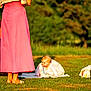 Scarlet is registered to the contest to win money with this photo: baby, child, adult, grass, outdoor, blanket, dress, skirt, person, sunlight, nature, crawling, sitting, footwear, greenery, relaxation, picnic, blanket_pattern, casual_clothing, daytime