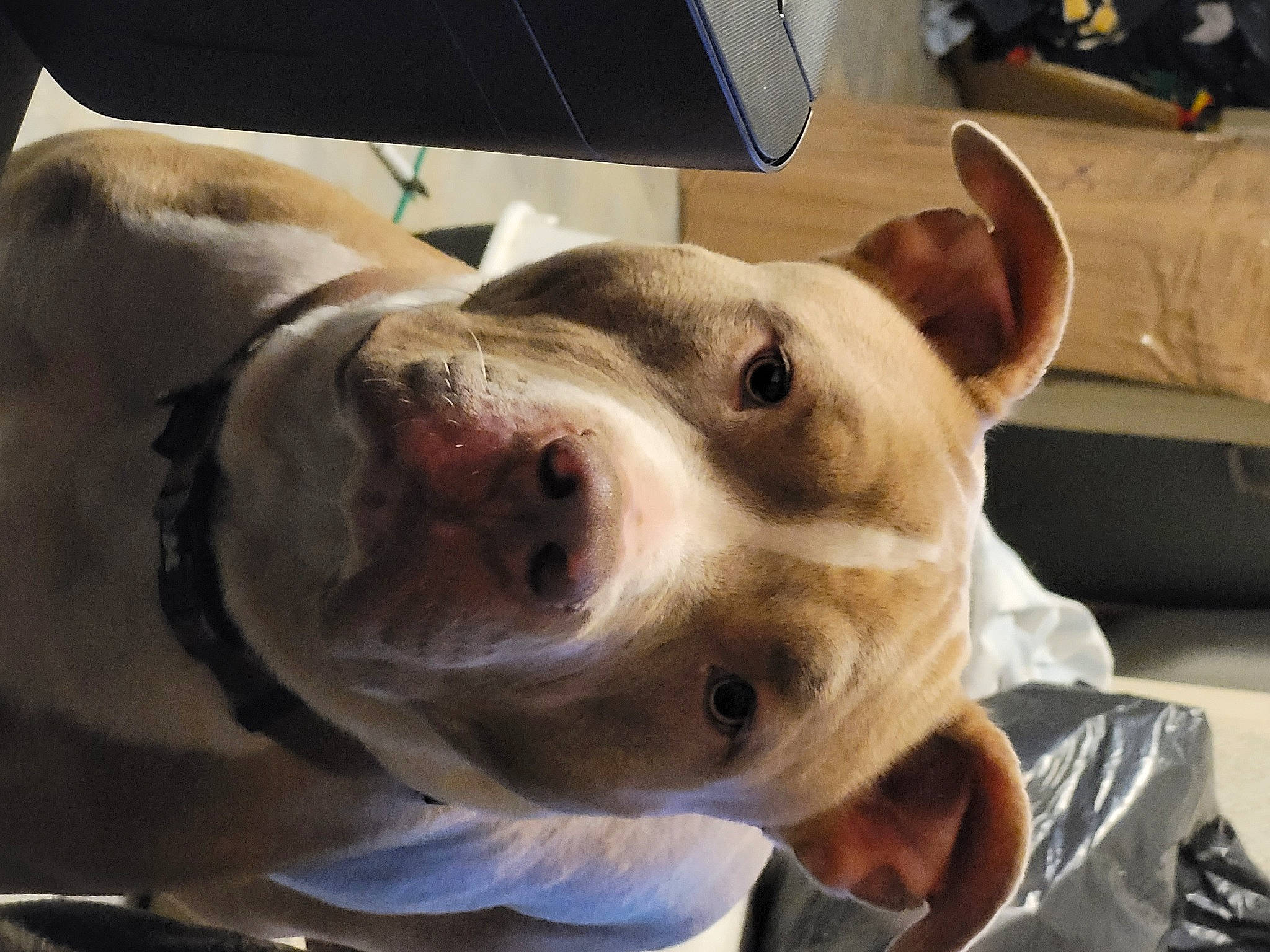Rosko