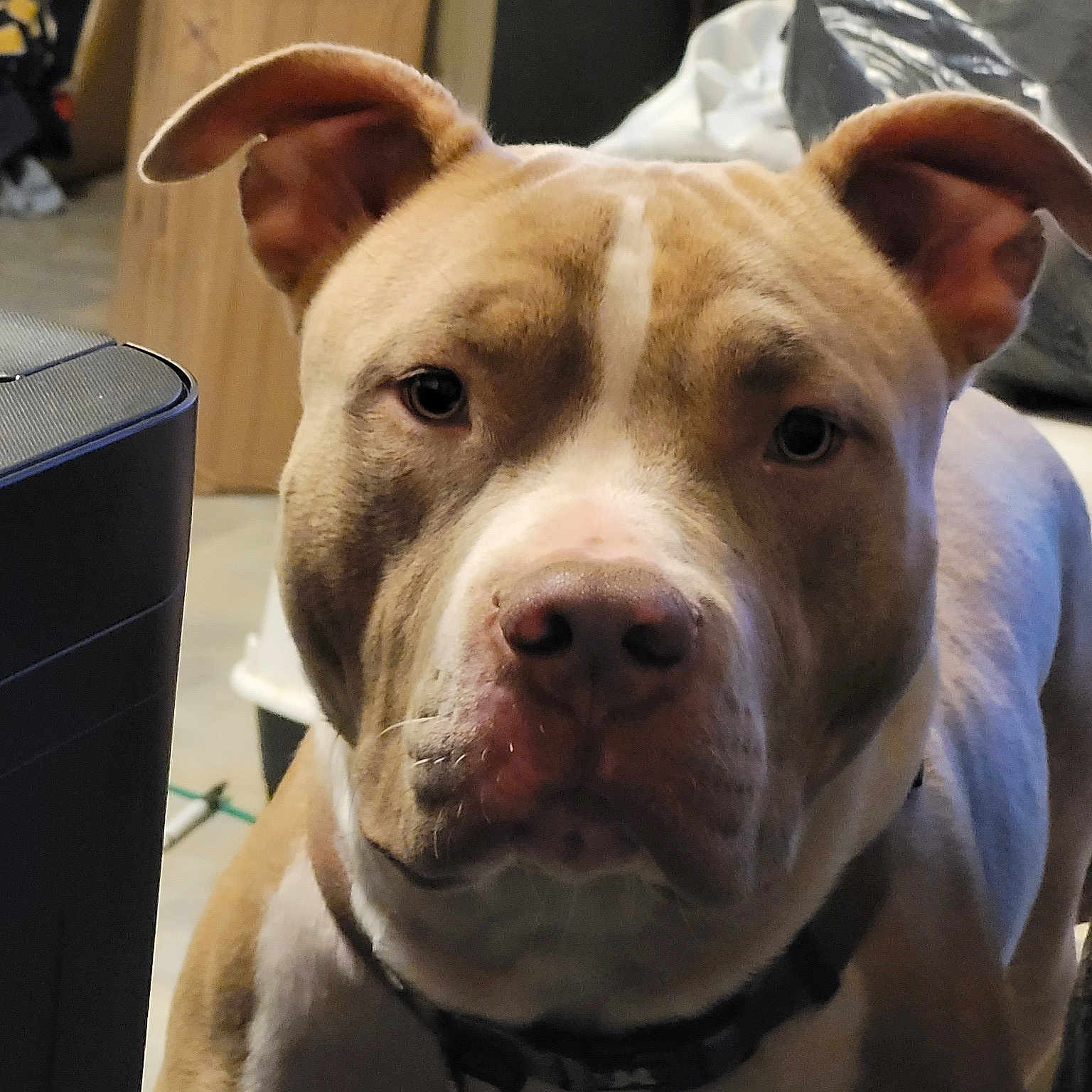 Rosko