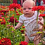 Cordelia is registered to the contest to win money with this photo: baby, infant, flower, red_flower, garden, outdoor, plants, greenery, person, child, hands, onesie, nature, summer, flora, cute, portrait, holding, colorful, background_blur