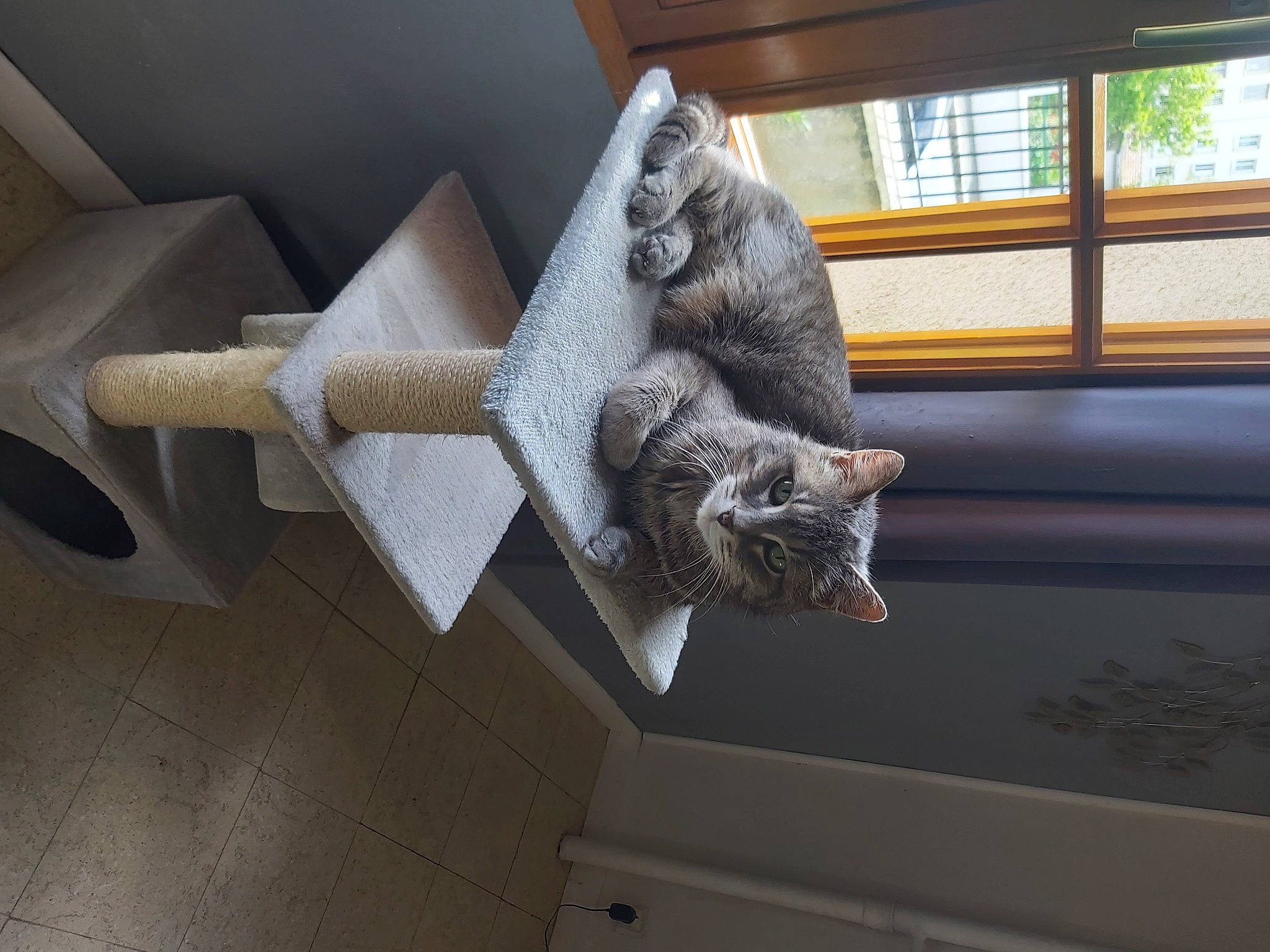 Gribouille participe au concours pour gagner de l'argent avec cette photo : art, building, daylighting, grey, house, metal, pattern, plant, room, sculpture, stairs, statue, tail, toy, visual_arts, window, wood