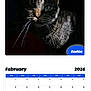2026, animal, calendar, cat, close_up, dark_background, date, february, feline, light, month, page, pet, portrait, screen_capture, shadow, tabby_cat, text, website, whiskers