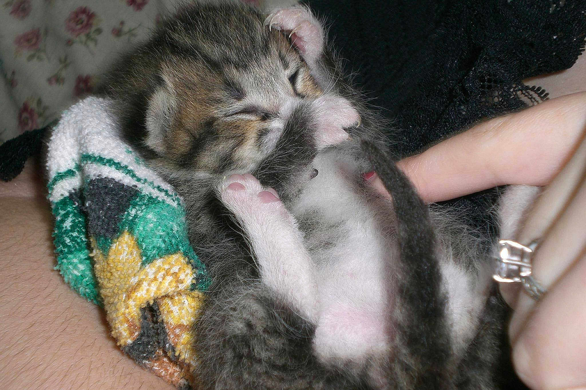 Precious