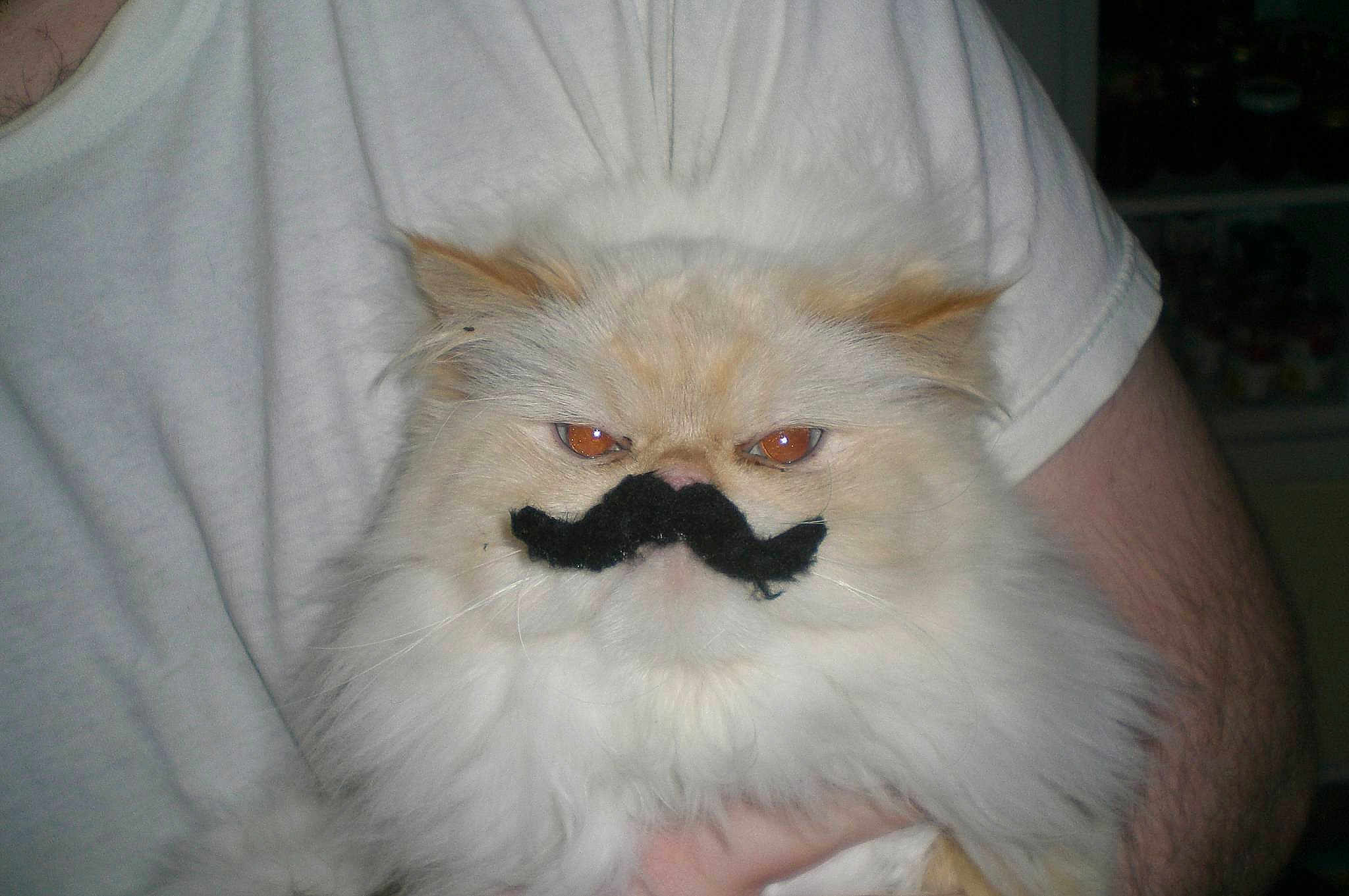 Maro
