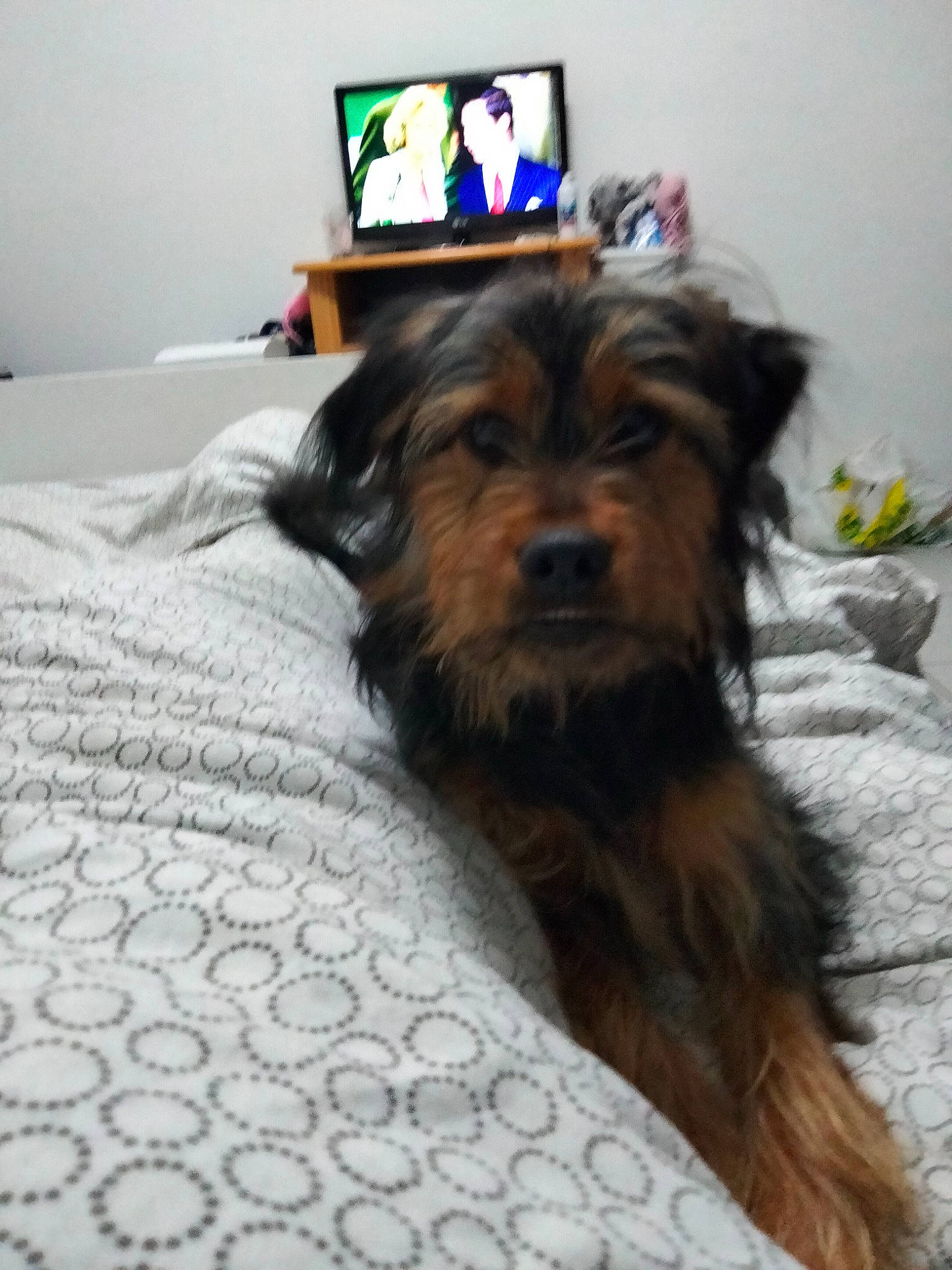 Sam