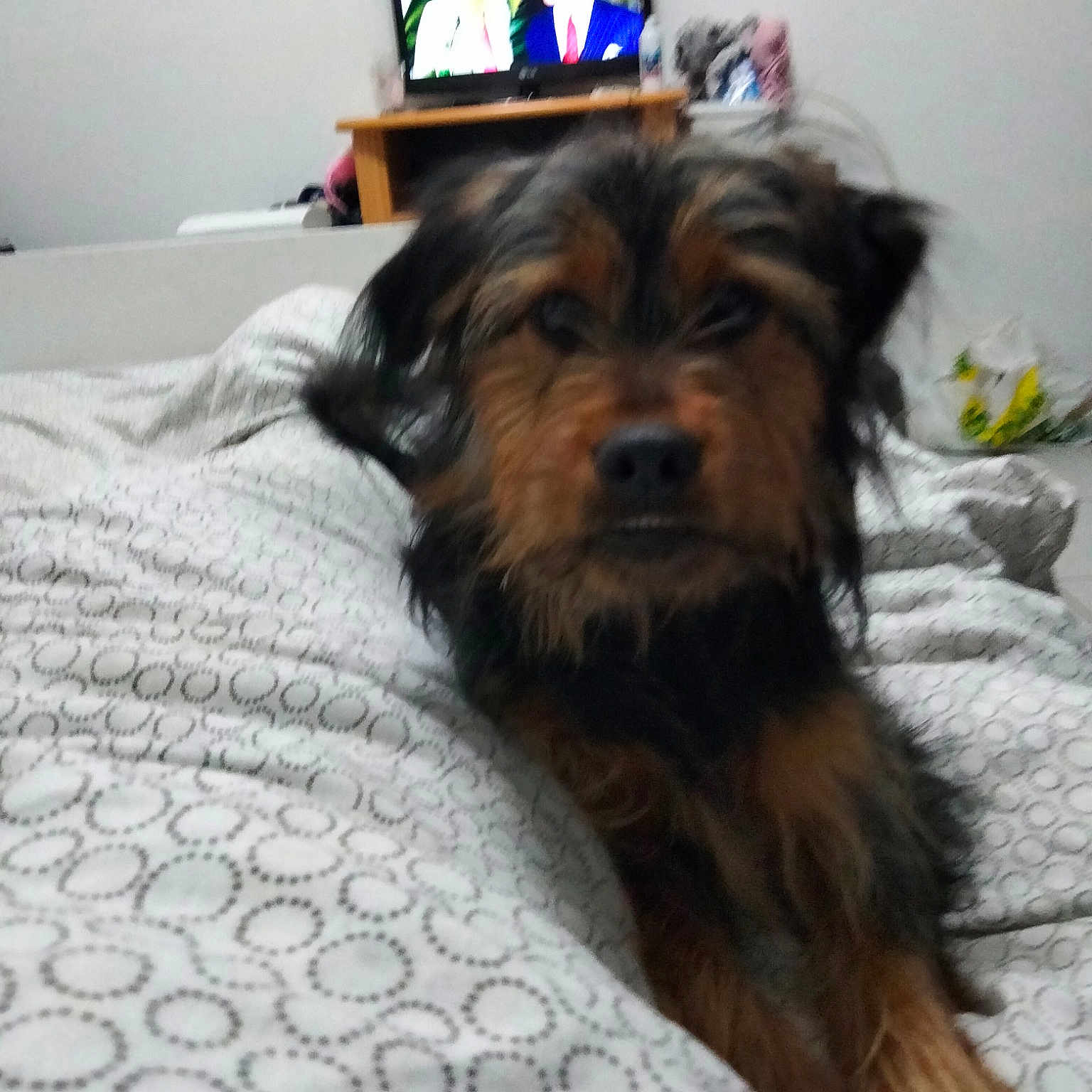 Sam
