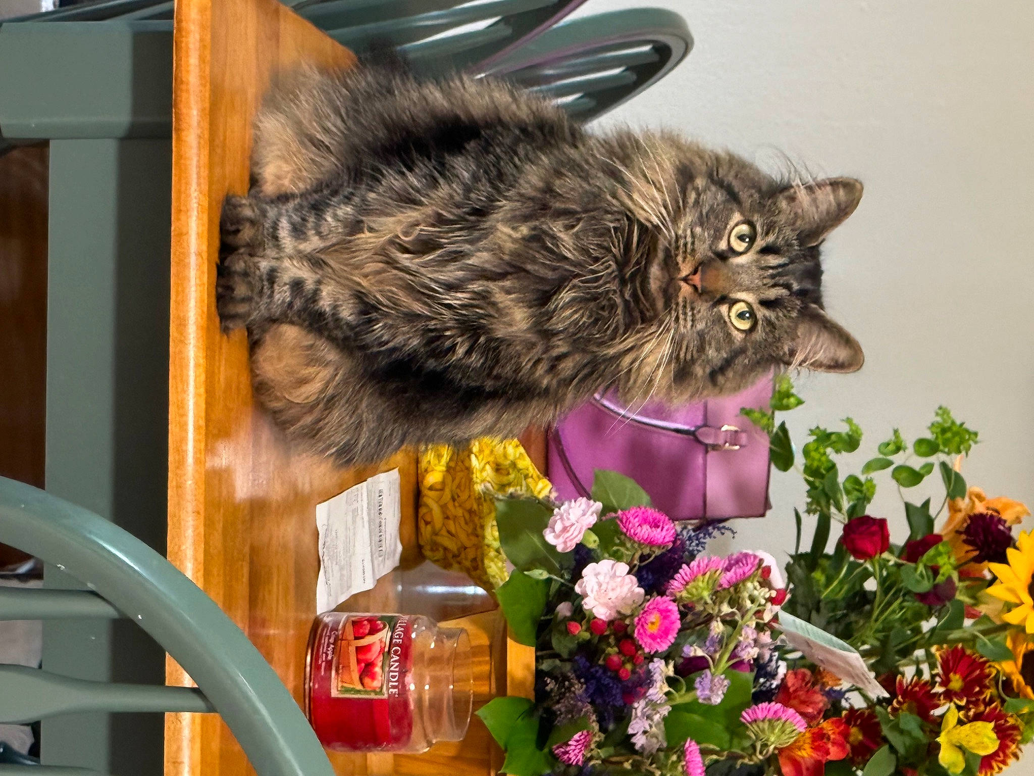 Gremlin joined the competition — help win amazing prizes! annual_plant, artificial_flower, bottle, carnivore, cat, cut_flowers, domestic_short_haired_cat, felidae, floral_design, floristry, flower, flower_arranging, fur, grass, herb, petal, plant, small_to_medium_sized_cats, tail, whiskers