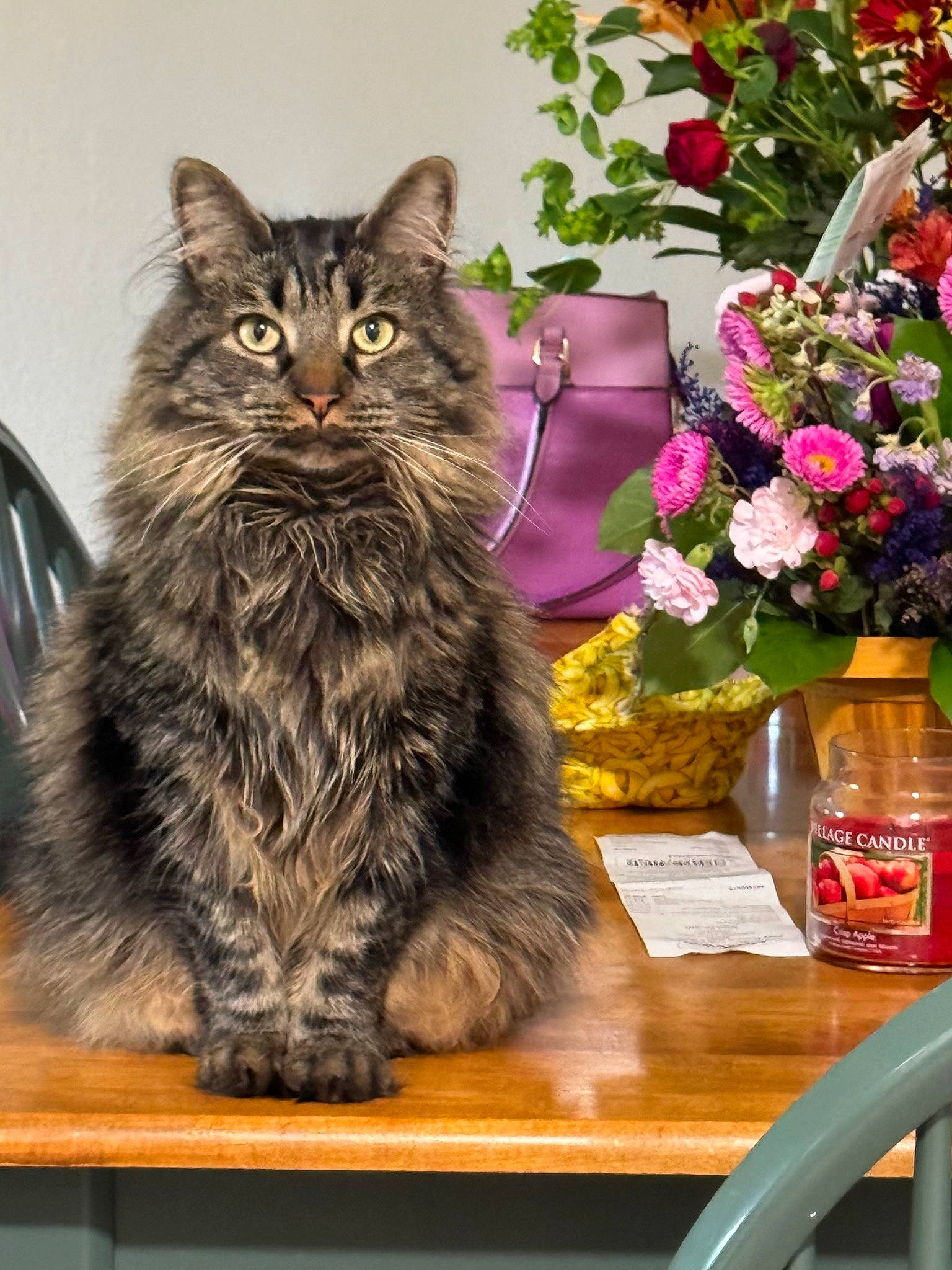 Gremlin is registered to the contest to win money with this photo: annual_plant, artificial_flower, carnivore, cat, desk, domestic_short_haired_cat, felidae, flower, flower_arranging, flowerpot, grass, houseplant, petal, plant, small_to_medium_sized_cats, snout, table, tableware, whiskers, wood