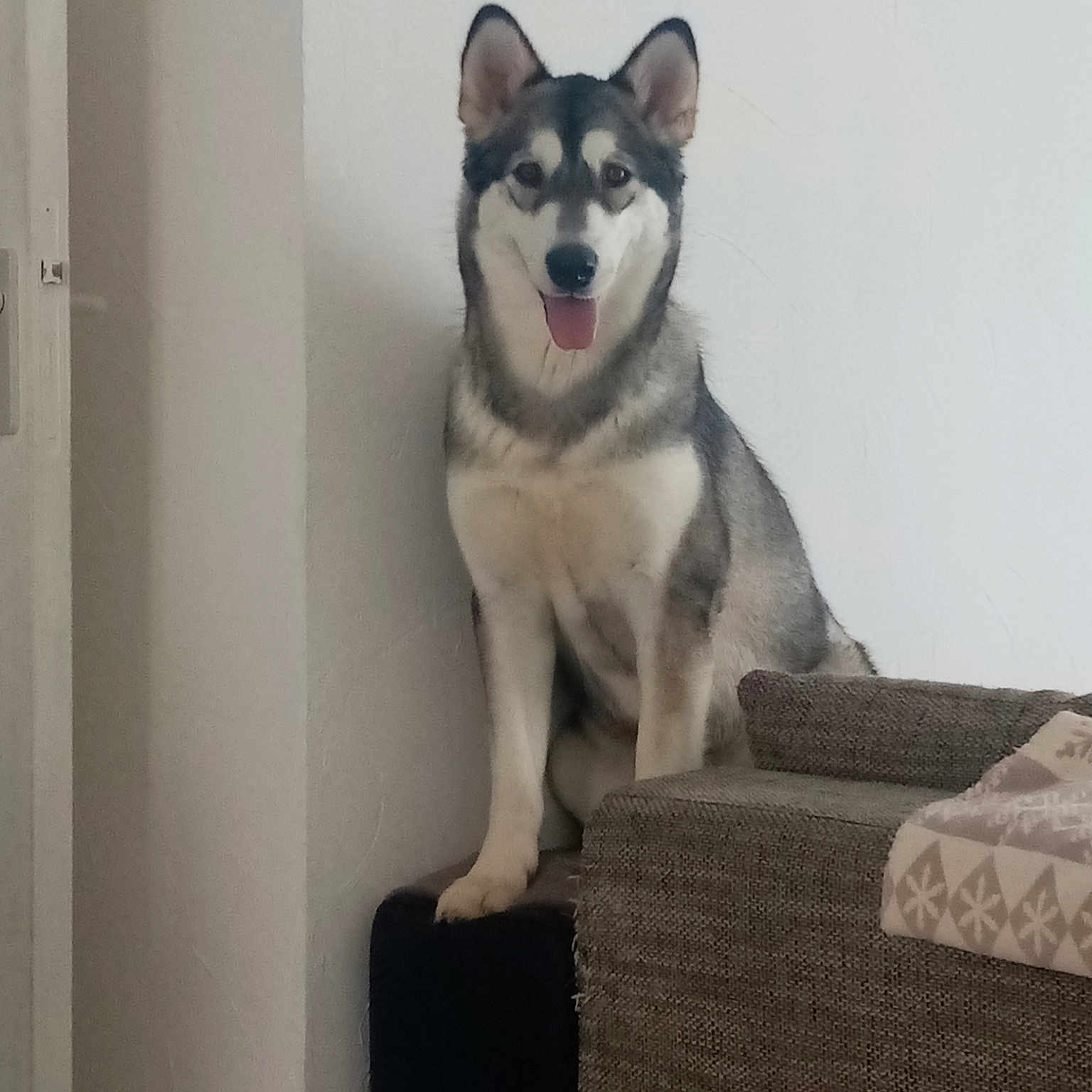 Kaya