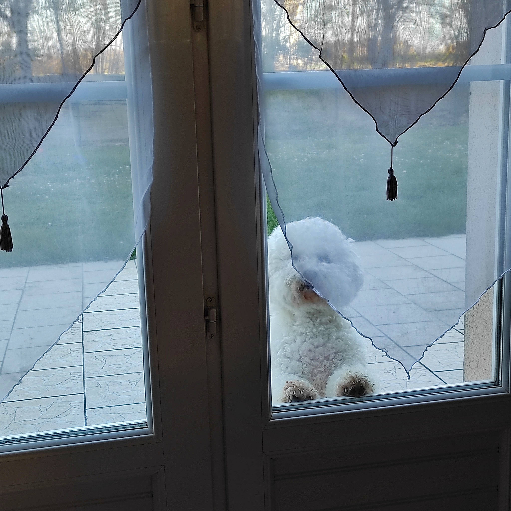 Milow participe au concours pour gagner de l'argent avec cette photo : art, daylighting, daytime, door, freezing, glass, interior_design, material_property, precipitation, reflection, shade, snow, tints_and_shades, transparent_material, twig, wall, window, window_treatment, winter, wood