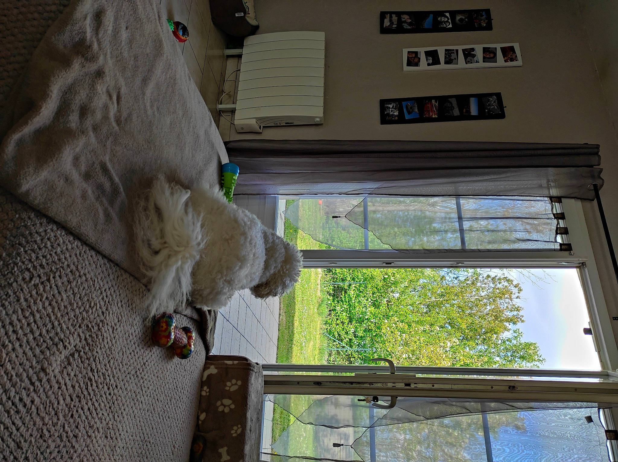 Milow a rejoint le concours — aidez-le/la à gagner de superbes lots ! building, ceiling, chair, curtain, daylighting, door, flooring, glass, house, plant, room, sash_window, shade, sky, tints_and_shades, tree, window, window_covering, window_treatment, wood