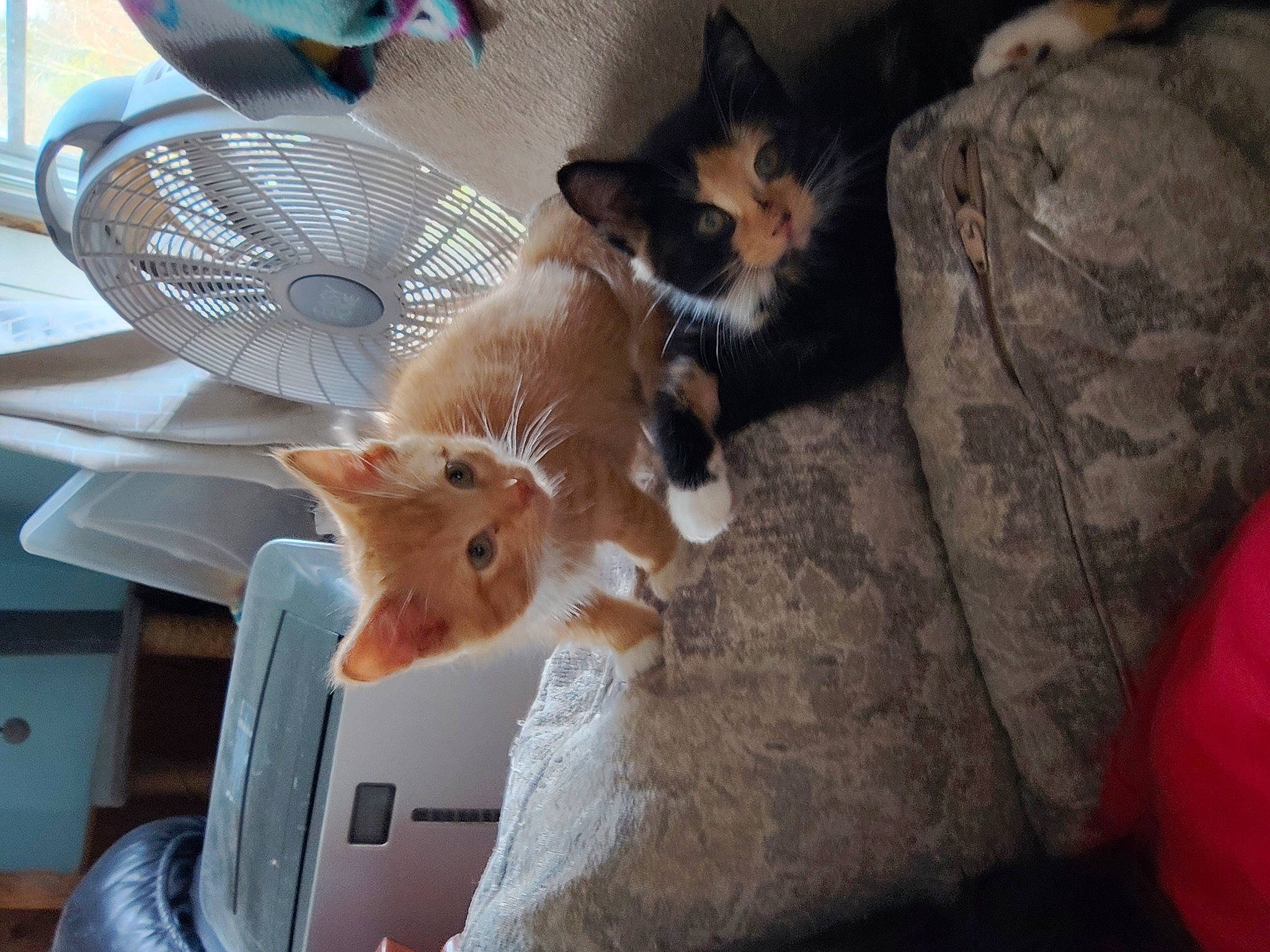 Autumn And Bumblebee