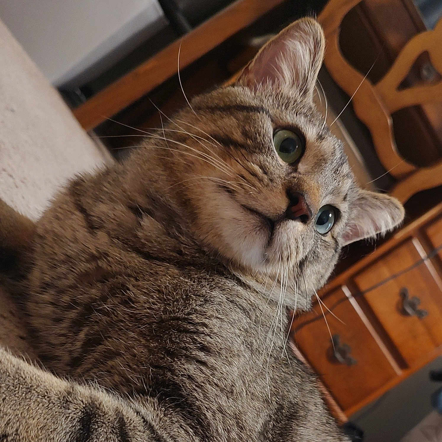 Pickle