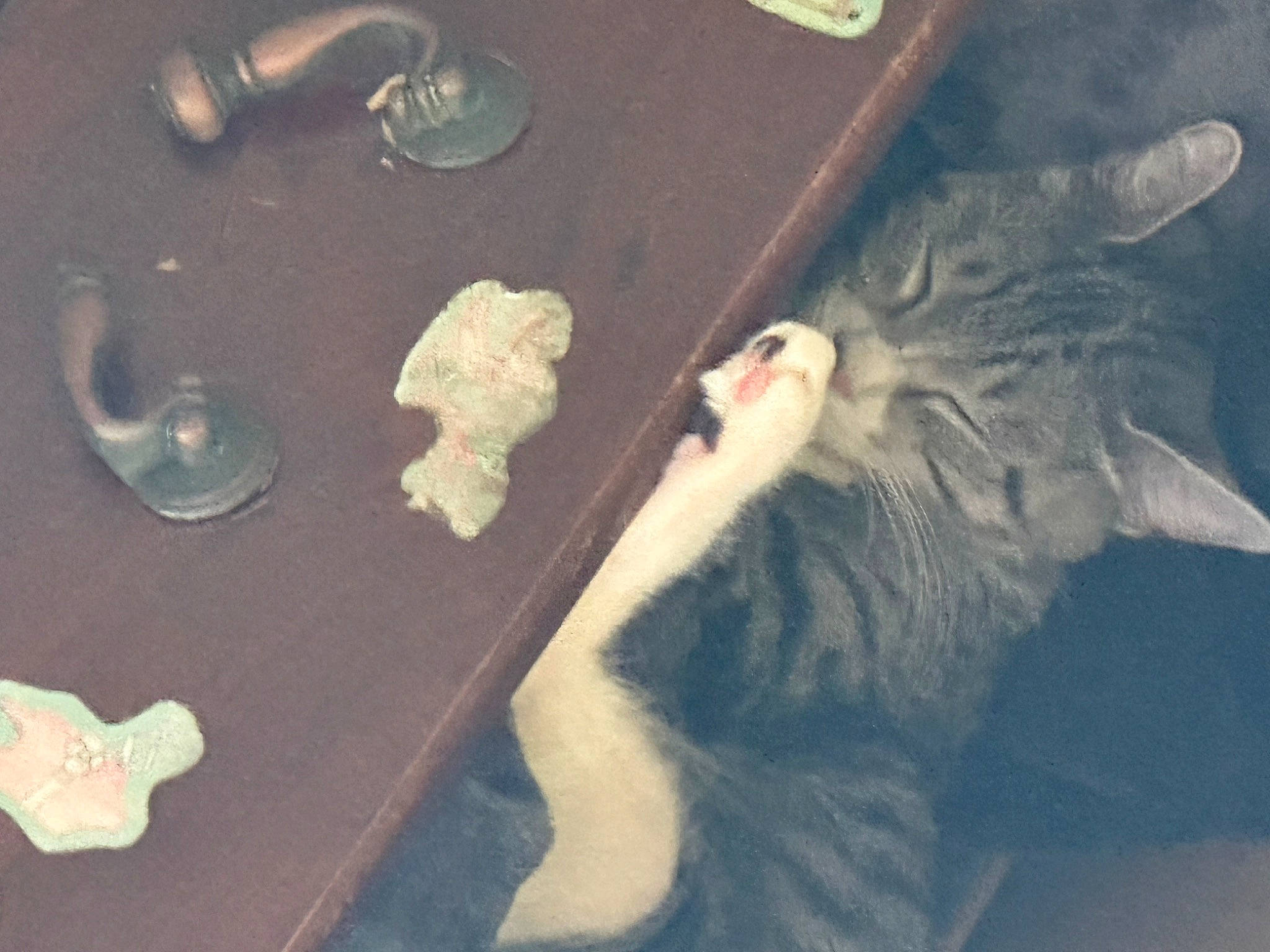 Chen Cha joined the competition — help win amazing prizes! art, carnivore, cat, claw, domestic_short_haired_cat, felidae, flooring, fur, gesture, grey, paw, small_to_medium_sized_cats, tail, vertebrate, whiskers, wood