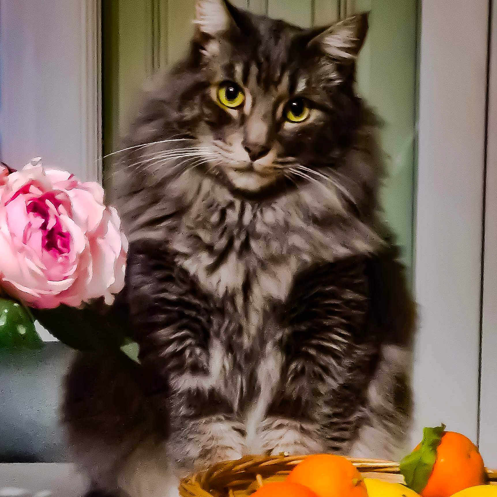 Jerry