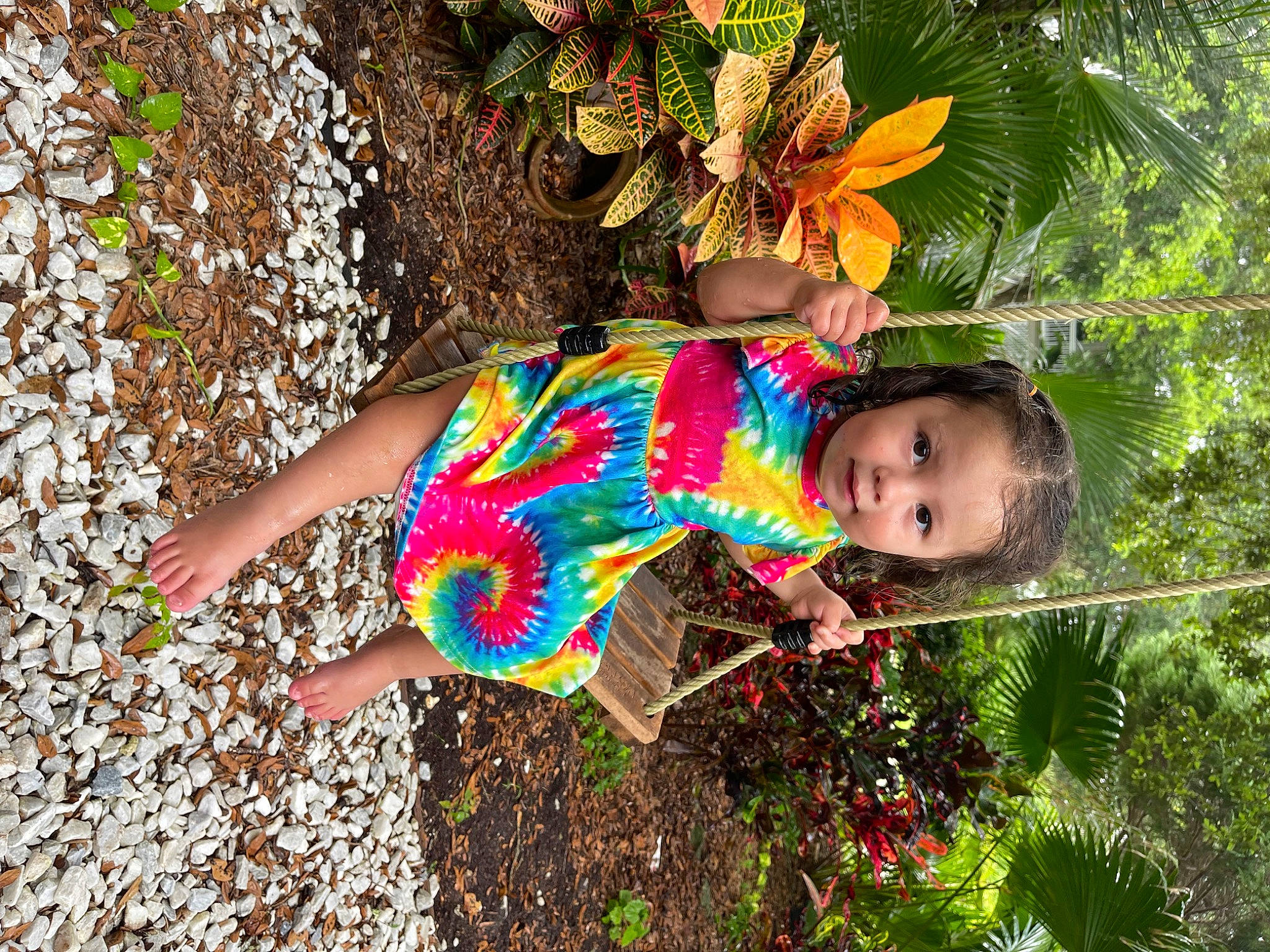 Collette is registered to the contest to win money with this photo: adaptation, baby_toddler_clothing, child, fun, garden, grass, happy, human_leg, leisure, pattern, people_in_nature, person, plant, sandal, spring, summer, terrestrial_plant, thigh, toddler, tree