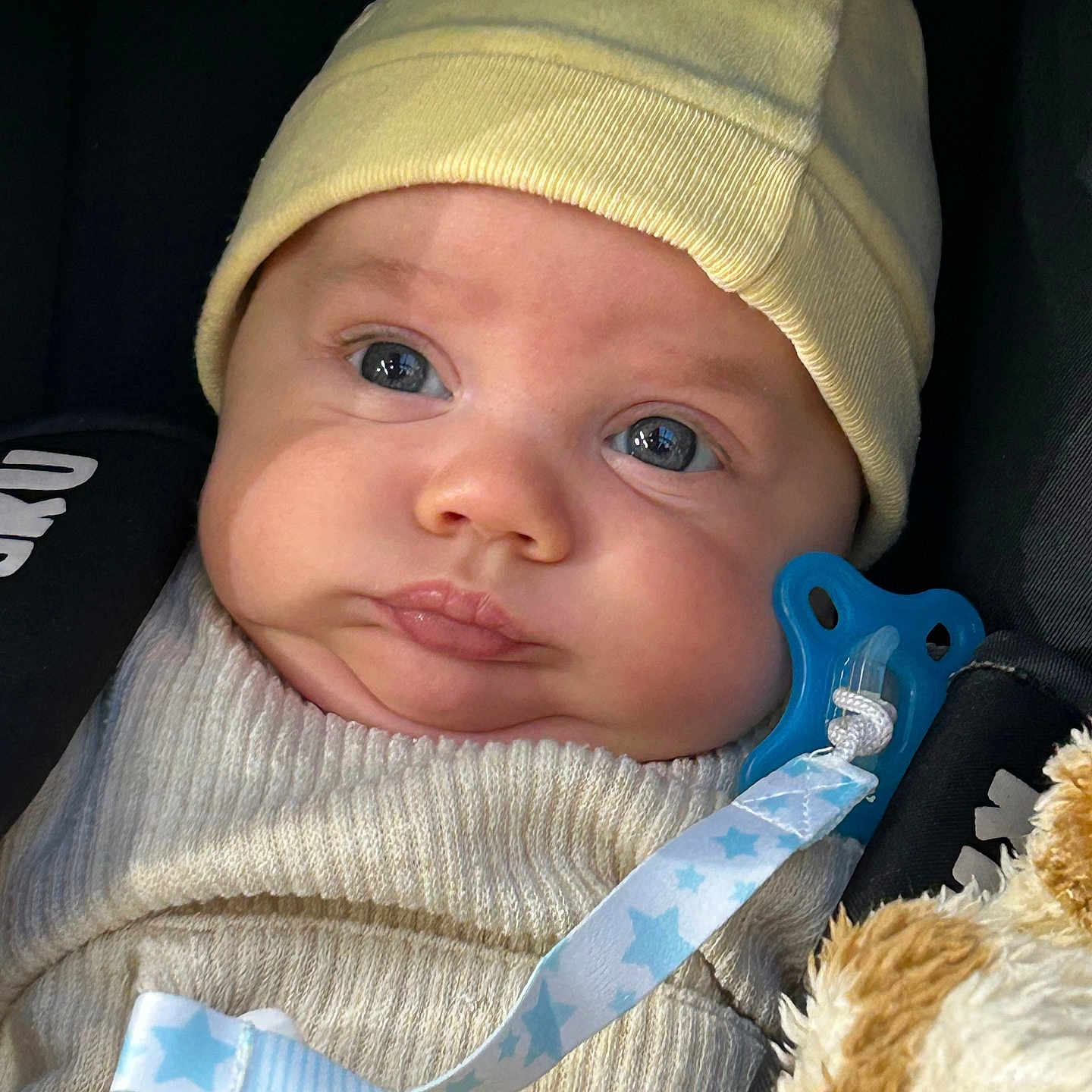 Antonio a rejoint le concours — aidez-le/la à gagner de superbes lots ! accessories, baby, beanie, bonnet, cap, clothing, coat, face, hat, head, hood, jacket, knitwear, newborn, pants, person, photography, portrait, strap, sweater