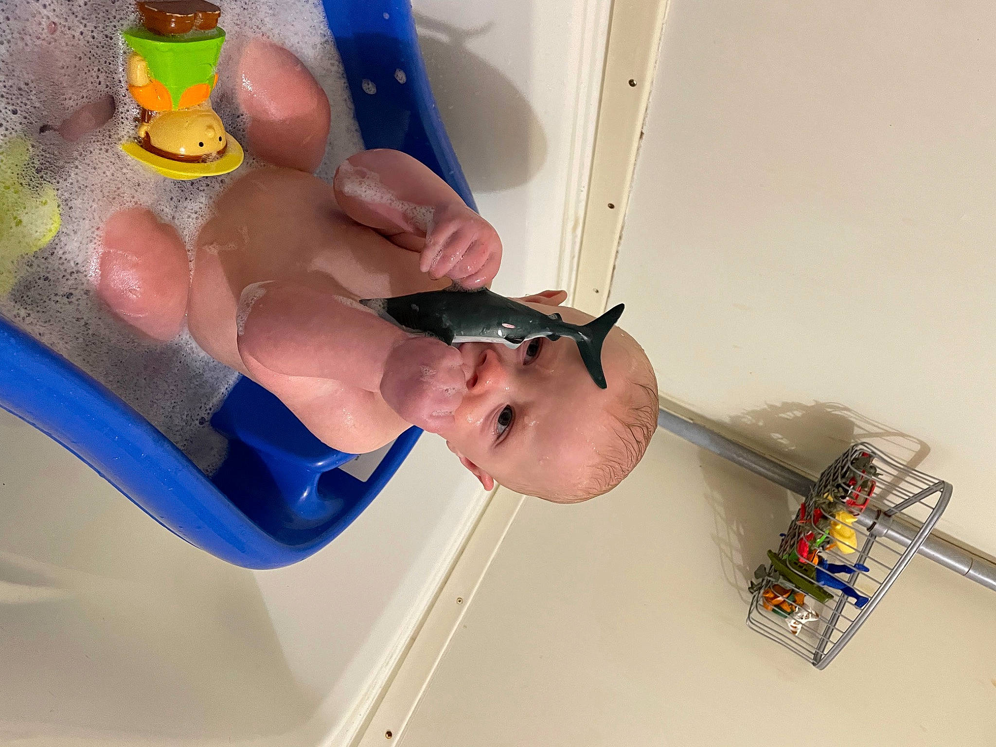 Drennon is registered to the contest to win money with this photo: baby, baby_products, bathing, child, elbow, electric_blue, finger, fluid, foot, fun, human_leg, nail, person, plastic_bottle, thigh, thumb, toddler, toe, toy, water