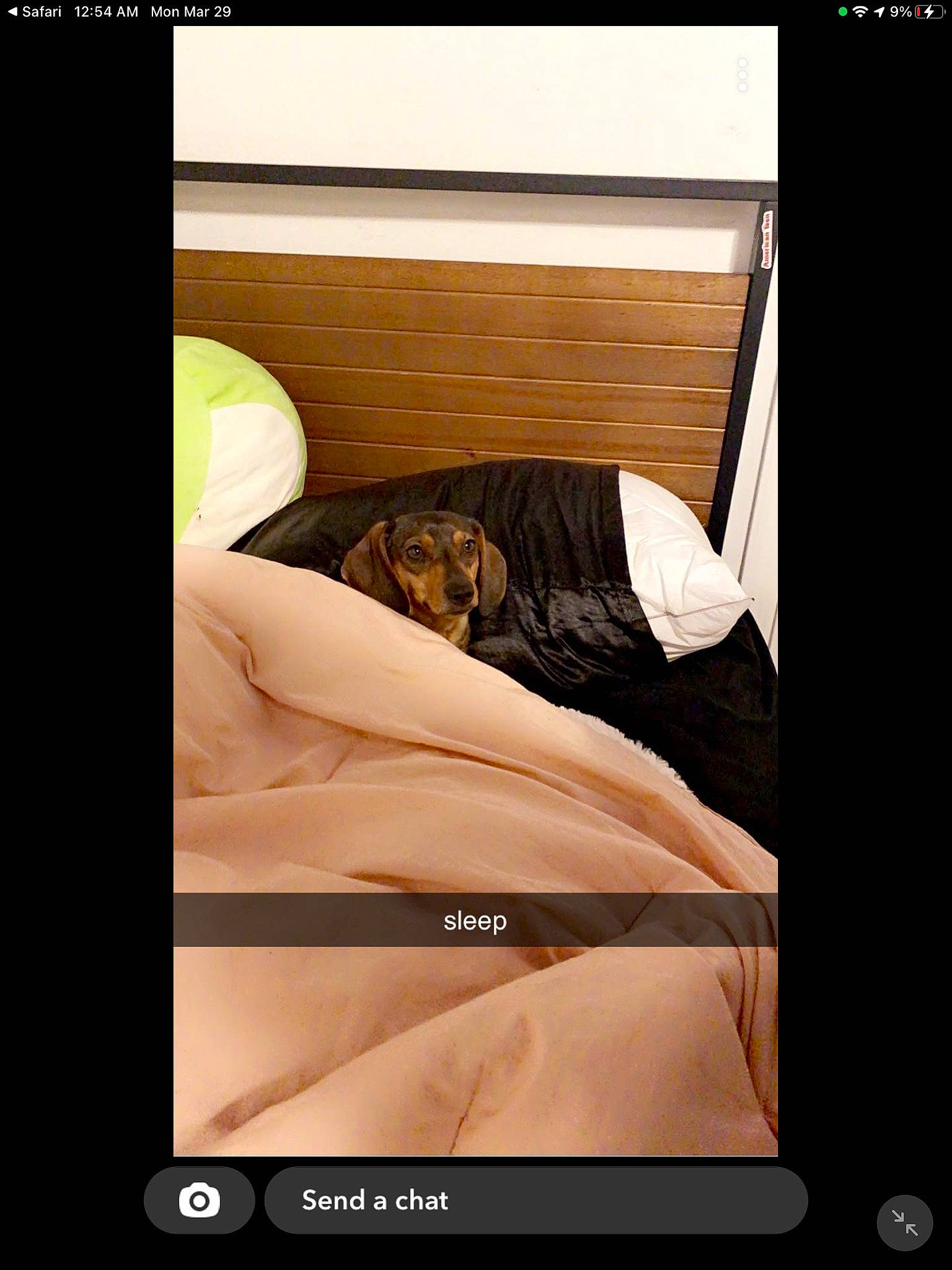 Odie joined the competition — help win amazing prizes! abdomen, bedding, bedroom, comfort, display_device, flesh, font, gesture, human_leg, knee, linens, multimedia, multimedia_software, photo_caption, room, screenshot, service, technology, thigh, thumb