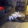 Mclovin is registered to the contest to win money with this photo: dog, white_dog, fluffy, lying_down, blanket, wooden_floor, couch, leopard_print_pillow, dvd_shelf, shelf, indoor, living_room, pet, relaxed, playful, cozy, furniture, home_interior, floor, animal