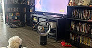 Mclovin joined the competition — help win amazing prizes! blanket, bookshelf, candle_holder, cap, corner, curved_tv, dog, dvd, fan, floor, furniture, indoor, living_room, pet, plush_toy, relaxing, shelf, toy, tv, wooden_floor