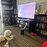 Mclovin joined the competition — help win amazing prizes! dog, living_room, tv, bookshelf, dvd, wooden_floor, fan, toy, curved_tv, shelf, plush_toy, cap, candle_holder, blanket, corner, furniture, indoor, pet, floor, relaxing