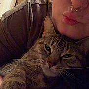 Gizmo is registered to the contest to win money with this photo: animal, casual, cat, close_up, cozy, cuddling, cute, domestic, face, feline, home, indoor, laundry_basket, person, pet, portrait, pout, relaxed, selfie, tabby_cat