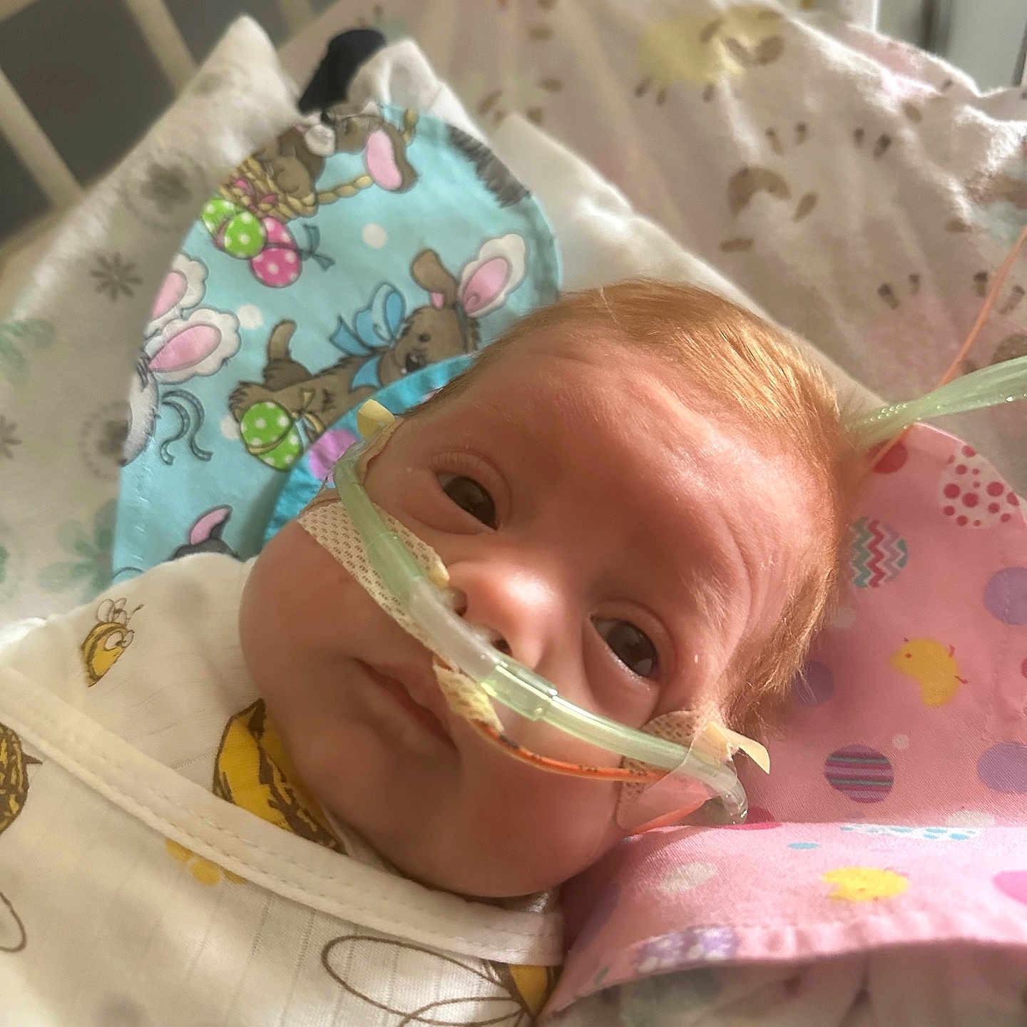 Revinn is registered to the contest to win money with this photo: architecture, baby, bed, blanket, building, crib, cushion, face, furniture, happy, head, homedecor, hospital, infantbed, newborn, person, photography, portrait, quilt, smile