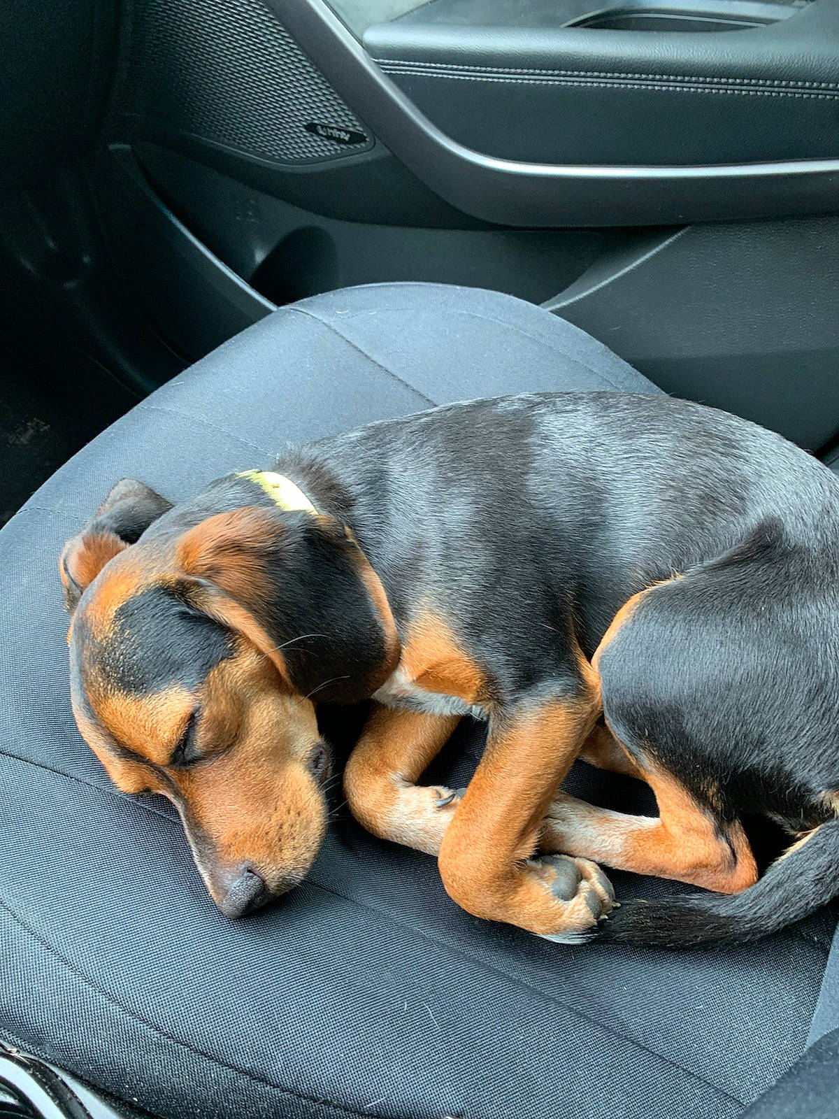 Lilly May Elias Allnutt