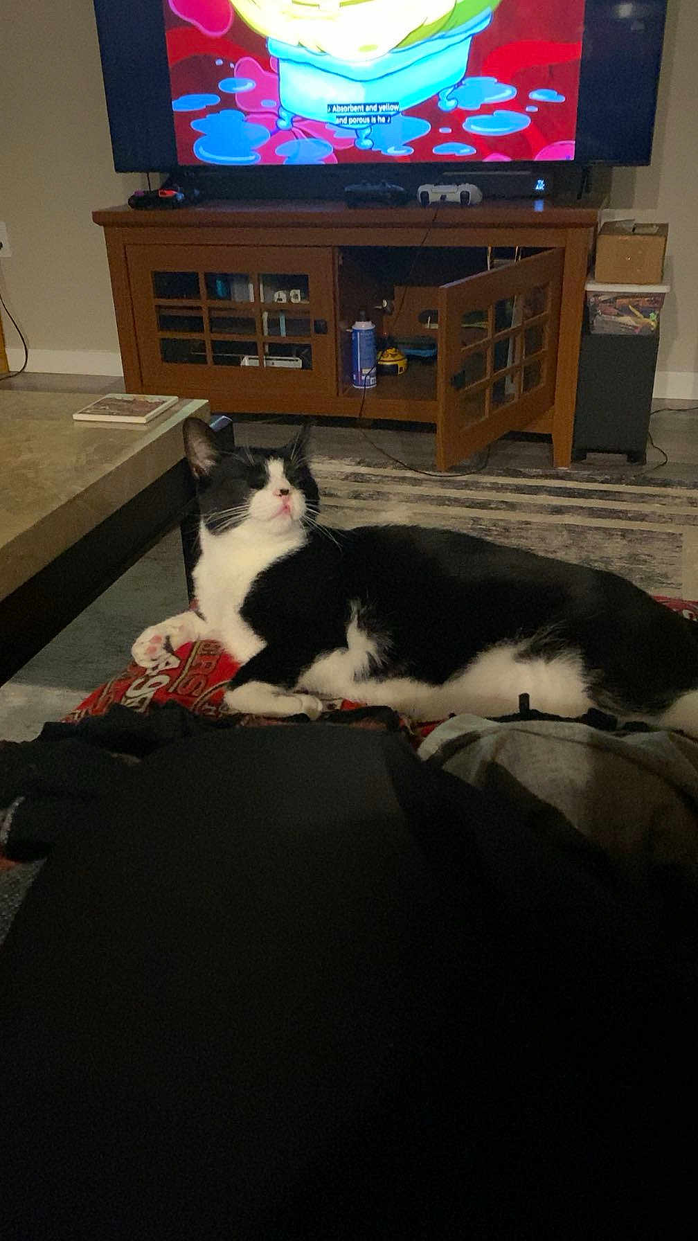 James is registered to the contest to win money with this photo: cat, black_and_white, lounging, blanket, television, cartoon, cabinet, living_room, furniture, indoor, relaxed, pet, home, electronics, remote_control, carpet, door_open, cozy, animal, resting