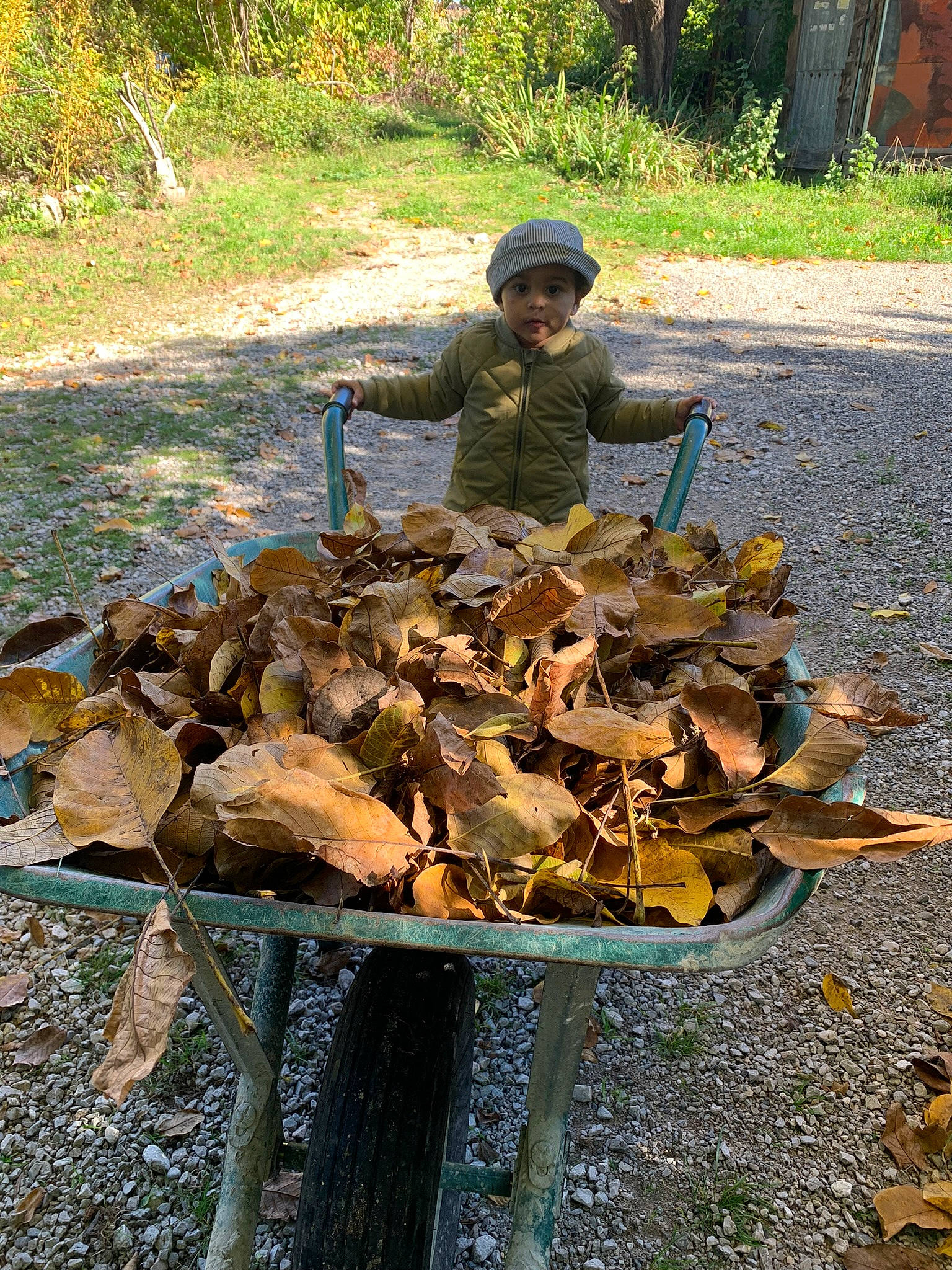 Lyana a rejoint le concours — aidez-le/la à gagner de superbes lots ! asphalt, camouflage, cap, cart, grass, hat, headwear, lumber, military_camouflage, natural_material, person, plant, soil, soldier, sun_hat, toddler, tree, vertebrate, wood
